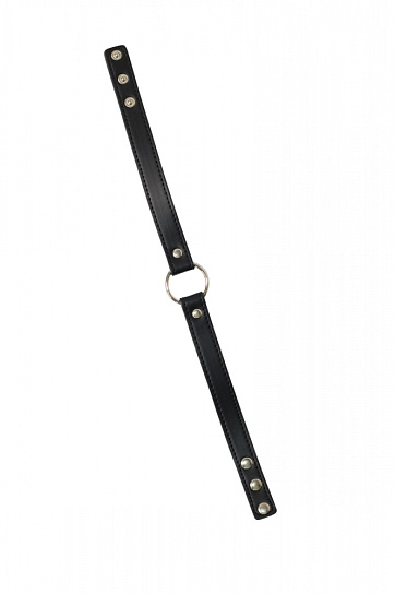 Ошейник регулируемый Inrtigue