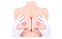 Мастурбатор в виде женской груди TITTIES D