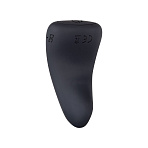 Вибровкладка в трусики с пультом ДУ Evolved Hidden Pleasure