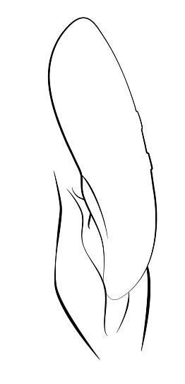 Многофункциональный вибратор We-Vibe Touch X, зеленый