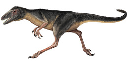 Фаллос для фистинга Динозавр Dilong, 25 см