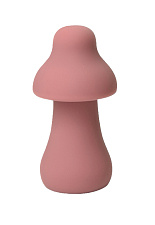 Вибратор-массажер для клитора и тела CNT Protruding Mushroom, розовый
