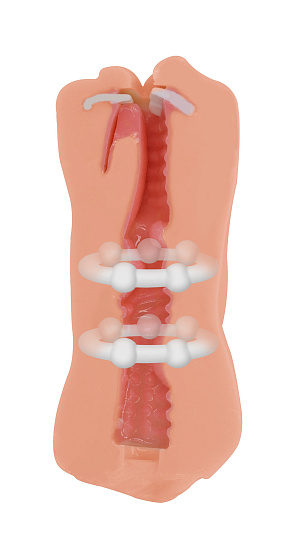 Мужской мастурбатор для члена Morning Angel от Satisfaction