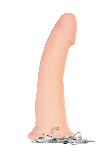 Ротатор RealStick Elite, 7 режимов вращения, 16 см