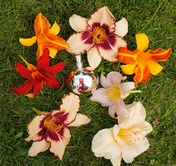 Антибактериальный очищающий спрей Gvibe Gjuice Toy Cleaner, 60 мл