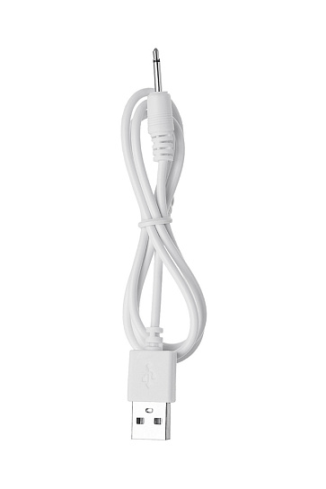 Многофункциональный стимулятор эрогенных зон TWIGGY