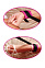 Комплект бондаж для новичков Beginner's Bondage Set, фиолетовый