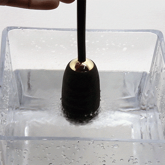 Виброяйцо с беспроводным пультом Royal Pleasure