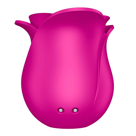 Вакуумный вибратор роза Satisfyer Pro 2 Modern Blossom, розовый