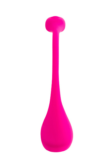 Виброяйцо Lovense Lush 2 с дистанционным управлением