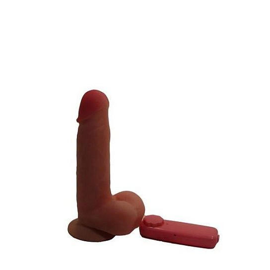 Вибратор с мошонкой и выносным блоком, 17 см