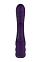 Вибратор с клиторальным стимулятором Nalone PureX2, фиолетовый