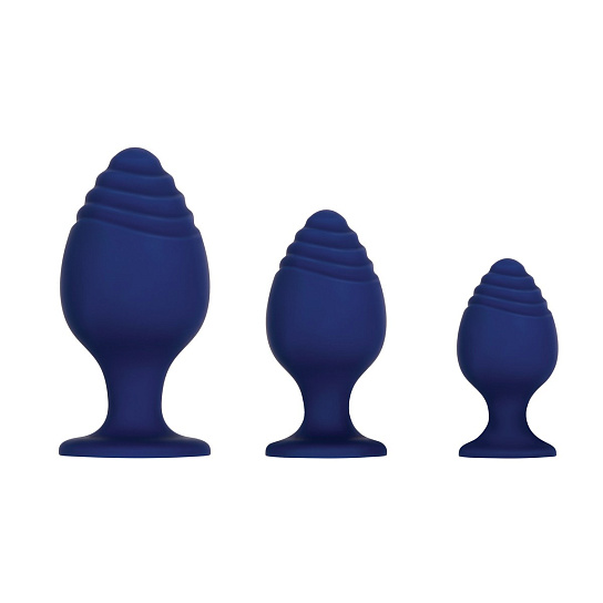 Набор анальных пробок разного размера Evolved Get Your Groove On