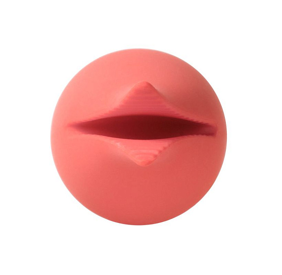 Раздвоенный вибромассажер Svakom Siren Coral