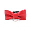 Ошейник с с красной бабочкой