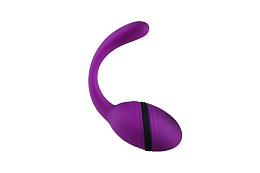 Виброяйцо универсальное с пультом Smart Dream Adrien Lastic, фиолетовое