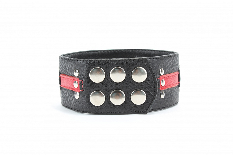 Оригинальный ошейник с кольцом для бандажа