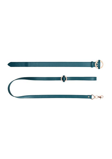 Набор ошейник + поводок Shots Media Ouch Collar With Leash, зеленый