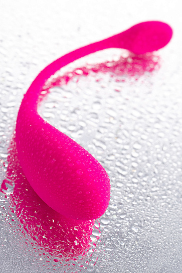 Виброяйцо Lovense Lush 2 с дистанционным управлением
