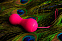 Розовые вагинальные шарики Magic Kegel, управление со смартфона