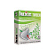 Презерватив ЗВЕЗДА ВОСТОКА с ароматом жасмина
