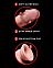 Фаллоимитатор с подвижной мошонкой King Cock Plus 6 Triple Density Фаллоимитатор с подвижной мошонкой King Cock Plus 6 Triple Density