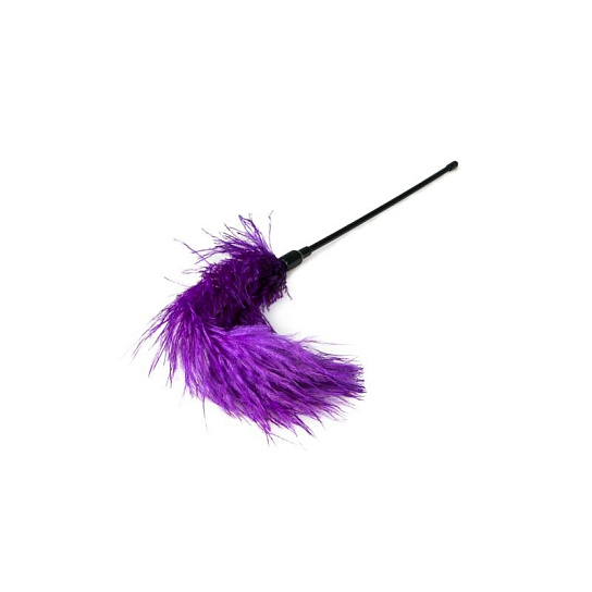 Пёрышко для тиклинга Easytoys Feather Пёрышко для тиклинга Easytoys Feather