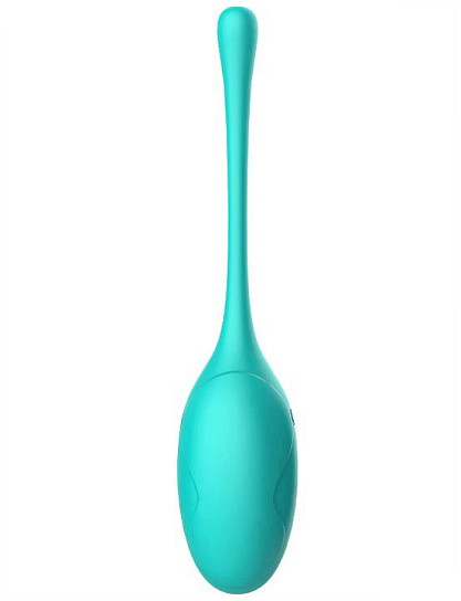 Виброяйцо Kitty с пультом ДУ