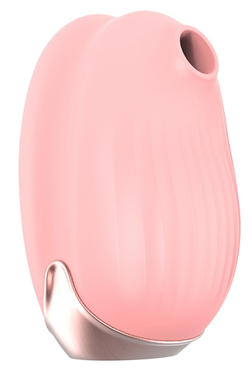 Вакуумный стимулятор клитора с вибрацией Viotec Cherubic