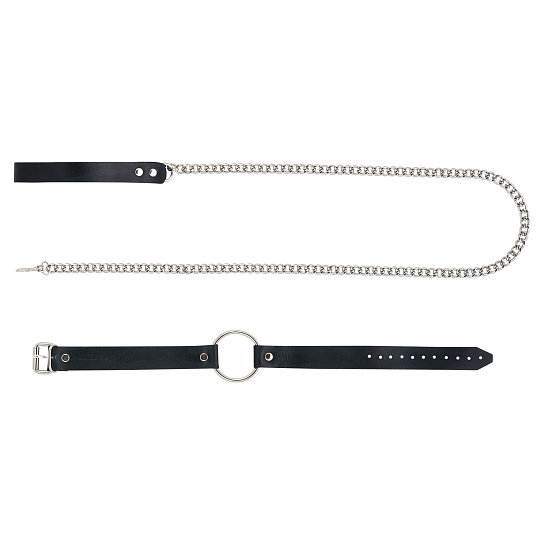 Металлический поводок с кожаной ручкой и чокер с кольцом RADA