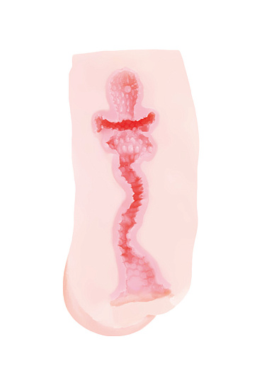 Мастурбатор с грудью PPP Newnew