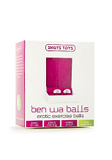 Утяжеленные вагинальные шарики BEN WA BALLS 105