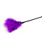 Щекоталка для тиклинга Easytoys Feather, фиолетовая Щекоталка для тиклинга Easytoys Feather, фиолетовая