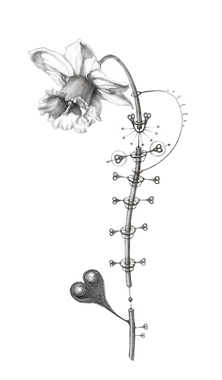 Вибратор-кролик отростком Gvibe Grabbit