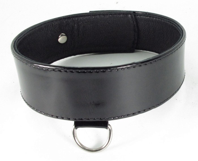 Ошейник на пряжке с одним кольцом