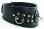 Черный кожаный ошейник с заклепками