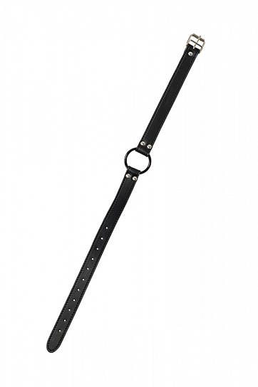 Классический кляп MODESTY