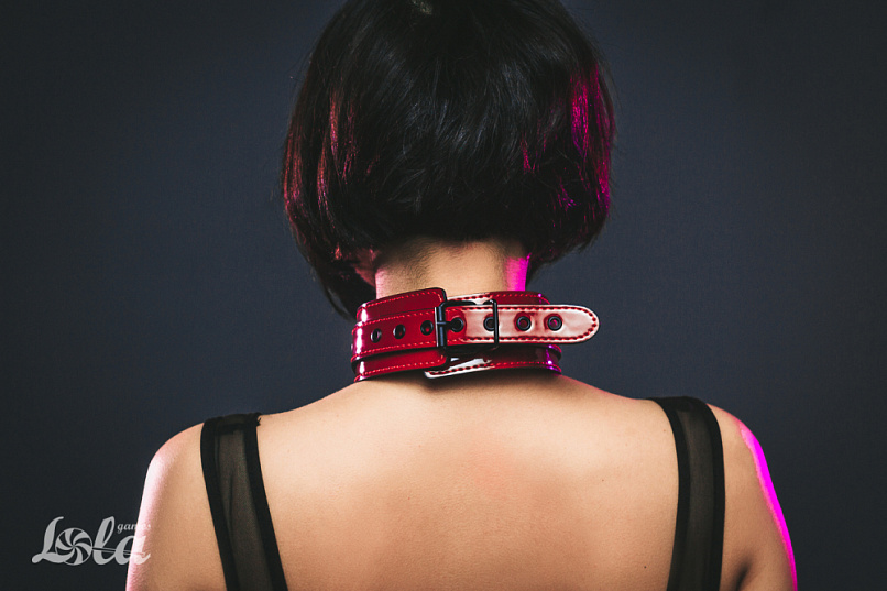 Бордовый ошейник ECCENTRIC