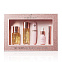 Набор-подарок миниатюр High on Love Minis Pleasure Collection